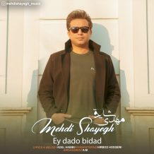 دانلود آهنگ جدید مهدی شایق به نام ای دادو بیداد